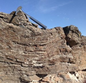 The diagnostic SWAMM unit outcrop